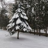 Санаторий Бобачевская роща, фото гостя