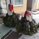 Санаторий Бобачевская роща, фото гостя