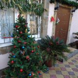 Гостевой дом Анастасия, фото гостя