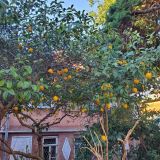 Гостевой дом Анастасия, фото гостя