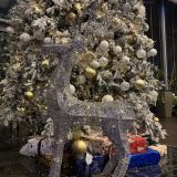 Гостиница Астро Плаза, фото гостя