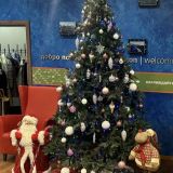 Гостиница Hampton by Hilton Voronezh, фото гостя