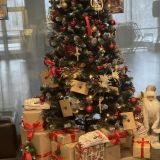 Гостиница Астро Плаза, фото гостя