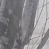 Отель Флагман, фото гостя