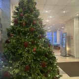 Гостиница Сыктывкар, фото гостя