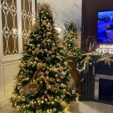 Гранд Отель Звезда, фото гостя