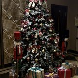 Отель Majestic Boutique Hotel Deluxe, фото гостя