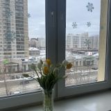 Хостел Nice Days, фото гостя