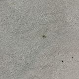 Бутик-Отель СИТИ'КО на Чистых прудах, фото гостя