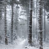 База отдыха Северное сияние, фото гостя