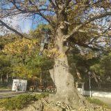 Геленджик, фото отдыхающего в декабре