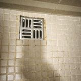 Сочи, фото отдыхающего в январе