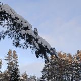 База отдыха Green Village, фото гостя