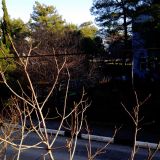 Гостевой дом Светлый, фото гостя