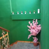 Мини-отель Backpack, фото гостя