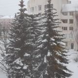 Гостиница Заря, фото гостя