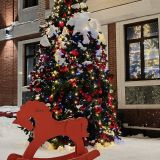 Йошкар-Ола, фото отдыхающего в январе