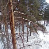 Гостиница Сибирь, фото гостя