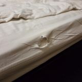 Отель Атлантик, фото гостя