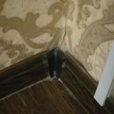 Отель Атлантик, фото гостя