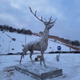 Нижегородская область, фото отдыхающего в январе