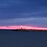 Сочи, фото отдыхающего в декабре