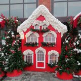 Новая Москва, фото отдыхающего в январе