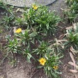 Черное море, фото отдыхающего в январе