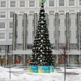 Нижегородская область, фото отдыхающего в январе