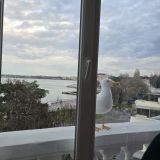 Большой Севастополь, фото отдыхающего в январе