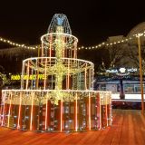 Ленинградская область, фото отдыхающего в декабре