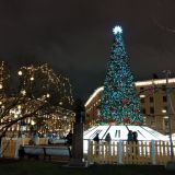 Ленинградская область, фото отдыхающего в декабре