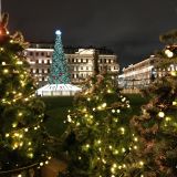 Ленинградская область, фото отдыхающего в декабре