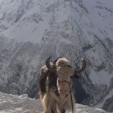 Горнолыжные курорты России, фото отдыхающего в январе