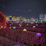 Кубань, фото отдыхающего в январе