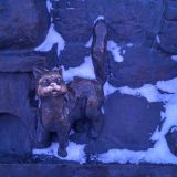 Тюмень, фото отдыхающего в январе