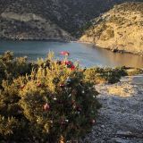 Судак, фото отдыхающего в январе