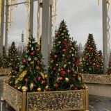 Московская область, фото отдыхающего в декабре