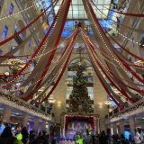 Московская область, фото отдыхающего в декабре