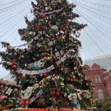 Московская область, фото отдыхающего в декабре