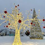 Коломенский район, фото отдыхающего в январе