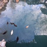 Загородный отель Главрыба, фото гостя