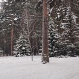 Спа-отель АМАКС ЭкоПарк-Екатеринбург, фото гостя