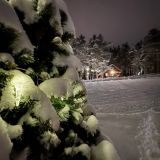 База отдыха Green Village, фото гостя