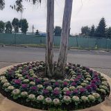 Гостевой дом Тиадель, фото гостя