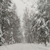 Загородный отель Яхонты Таруса, фото гостя