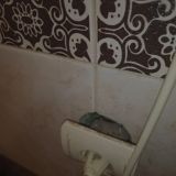 Апартаменты БЕЛКИН, фото гостя