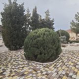 Гостиница Гранд, фото гостя