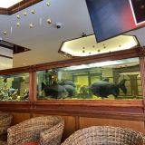 Гостиница Выборг, фото гостя