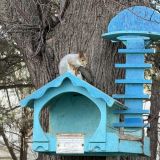 Геленджик, фото отдыхающего в декабре